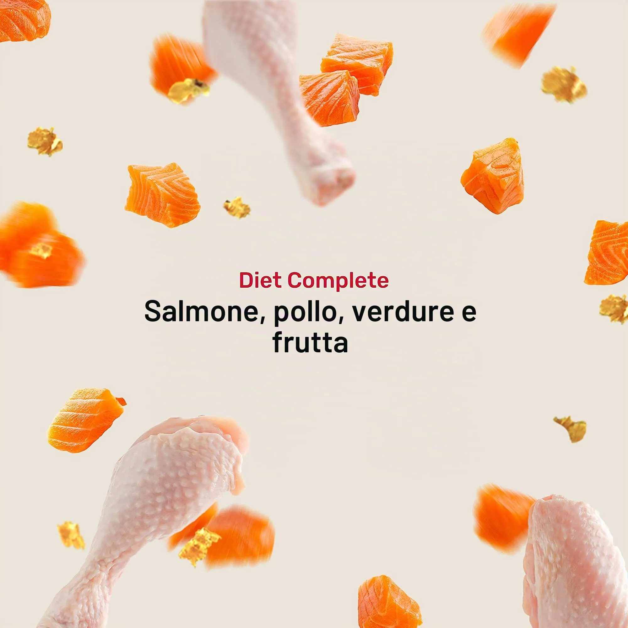 2G Pet Food Diet Complete Alimento Completo per Cani con Pollo e Salmone Pasto completo e bilanciato con cereali, verdure e proteine 2kg - immagine 2