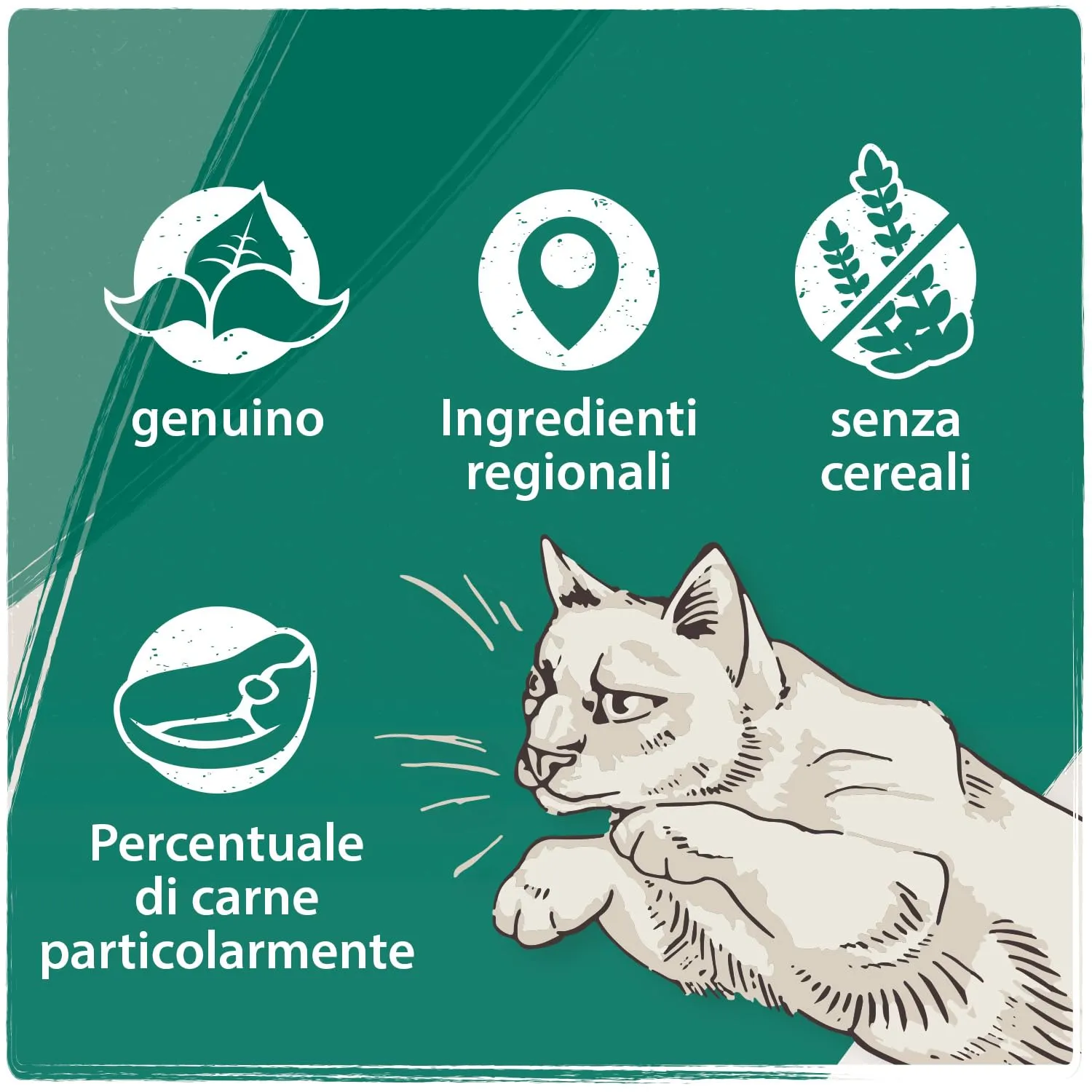 VenandiAnimal Mangime per Gatti Premium, Gallina di Tacchino Come Mono-Proteina, Senza Cereali - Pacco da 6 x 200 g - immagine 5