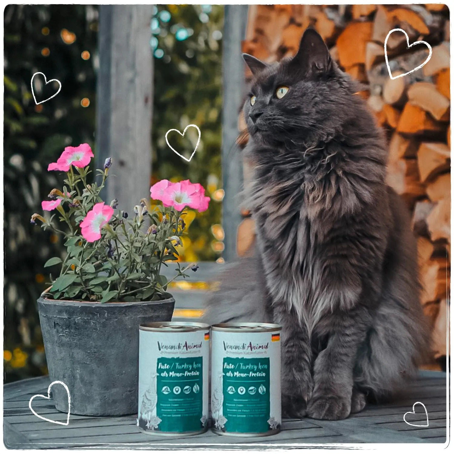 VenandiAnimal Mangime per Gatti Premium, Gallina di Tacchino Come Mono-Proteina, Senza Cereali - Pacco da 6 x 200 g - immagine 7