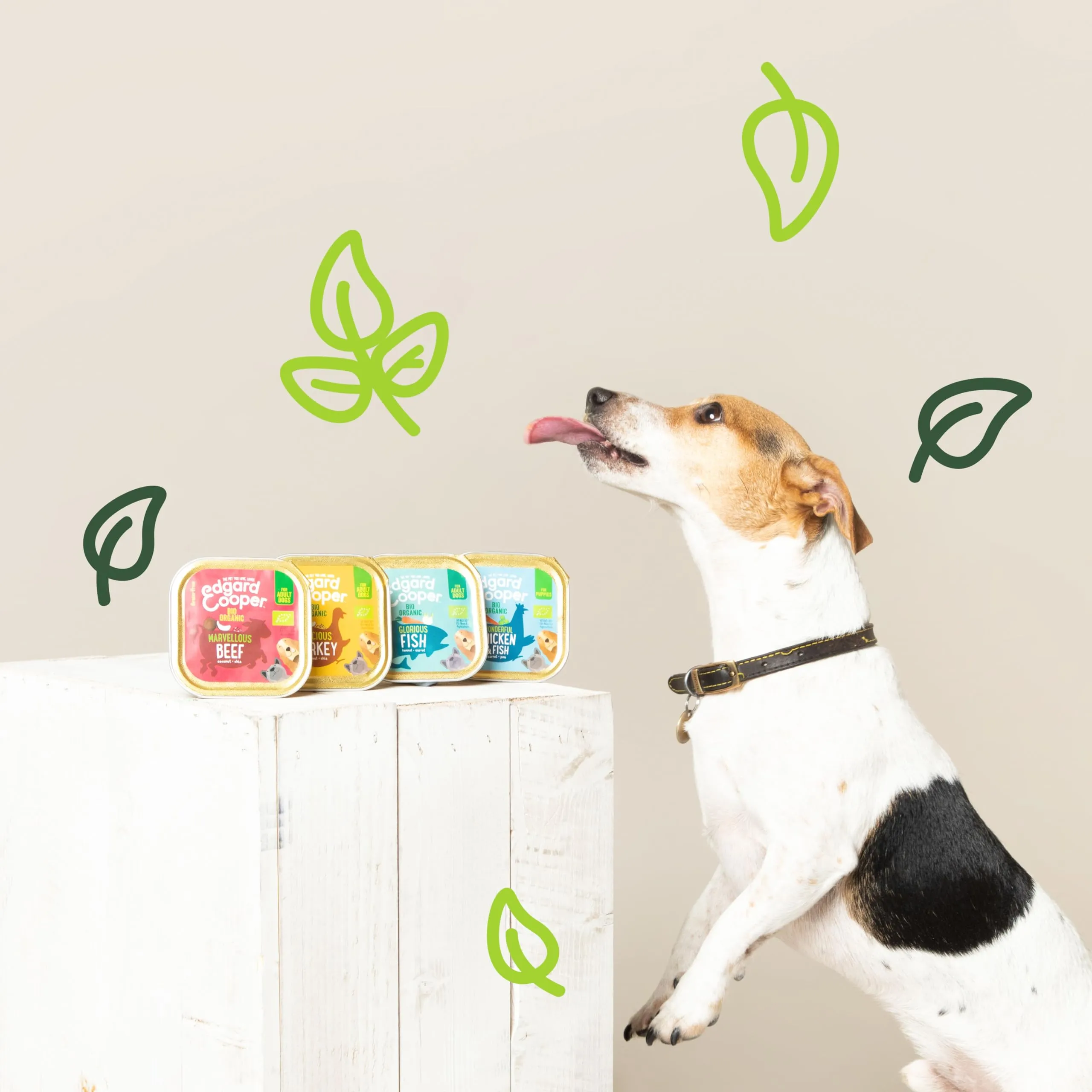 Edgard & Cooper Dose Patée Dog Senior Free Nutrizione naturale 11 x 150 g di pollo fresco e salmone, cibo sano con grande gusto ed equilibrio, proteine di alta qualità - immagine 3