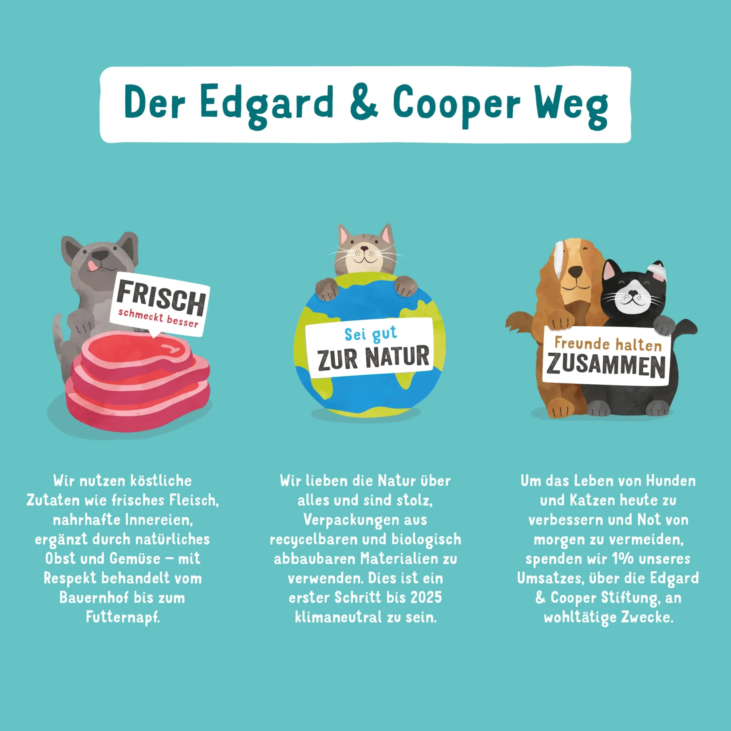 Edgard & Cooper Dose Patée Dog Senior Free Nutrizione naturale 11 x 150 g di pollo fresco e salmone, cibo sano con grande gusto ed equilibrio, proteine di alta qualità - immagine 6