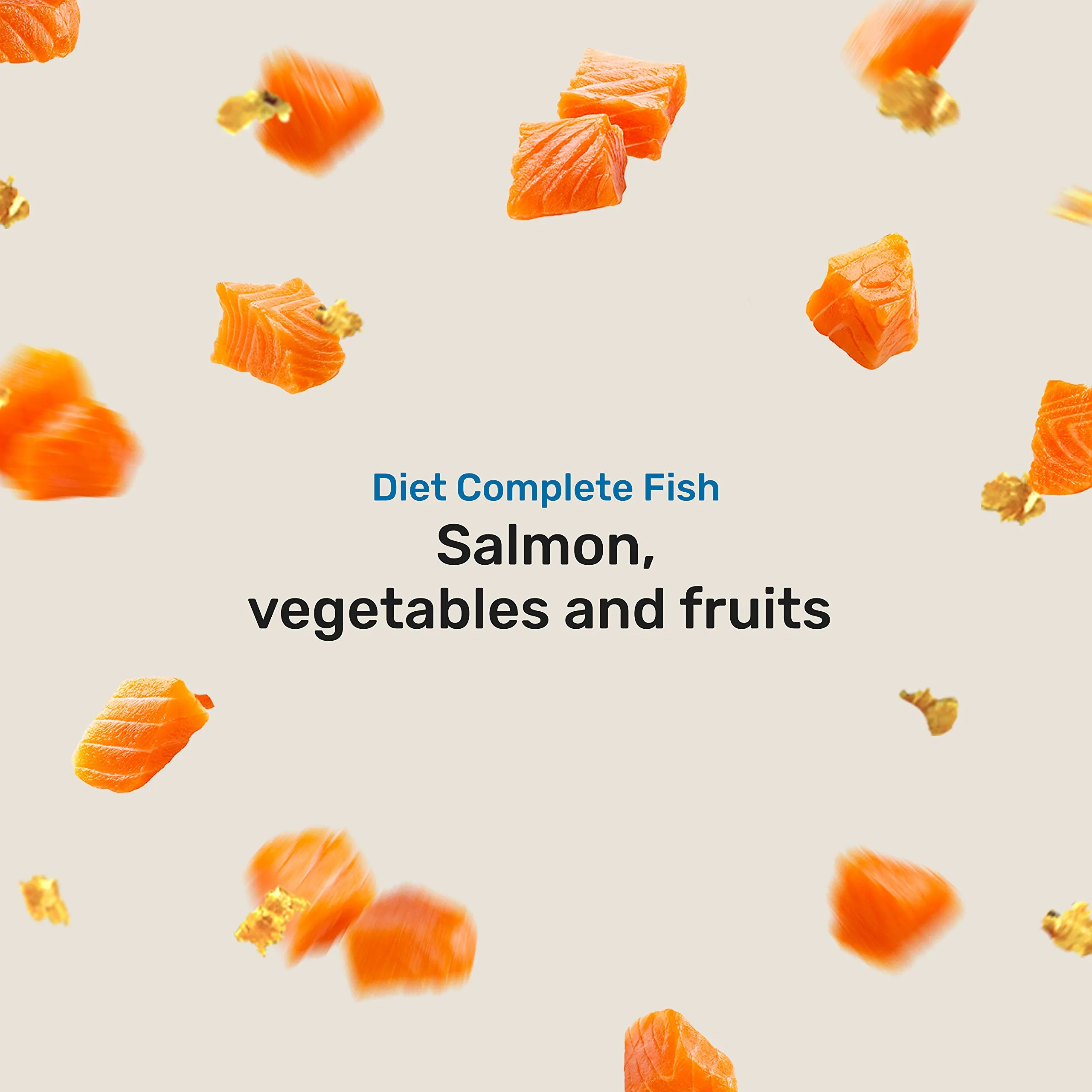 2G Pet Food Diet Complete Fish Alimento Completo Monoproteico per Cani Con crocchette di Salmone, cereali cotti a vapore e verdure Fonte di proteine e Omega 3 Formato 350g Made in Italy - immagine 2