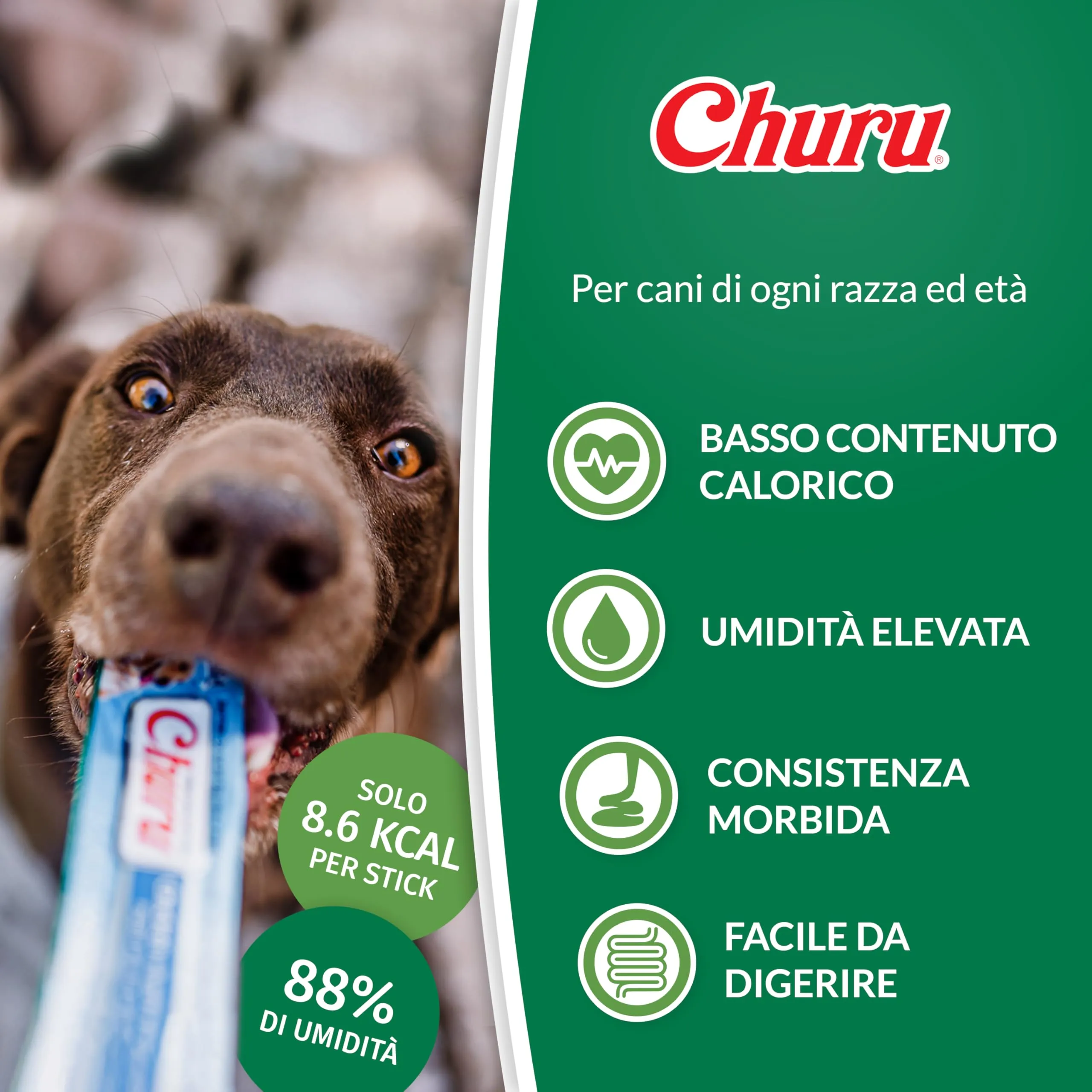 INABA Churu Snack per Cani Cremoso al Pollo e Formaggio - 1 Pack (8 Stick x 20gr) - Premietti per Cane Ipocalorici Morbidi e Deliziosi, Senza Conservanti o Coloranti Artificiali, Grain-Free - immagine 3