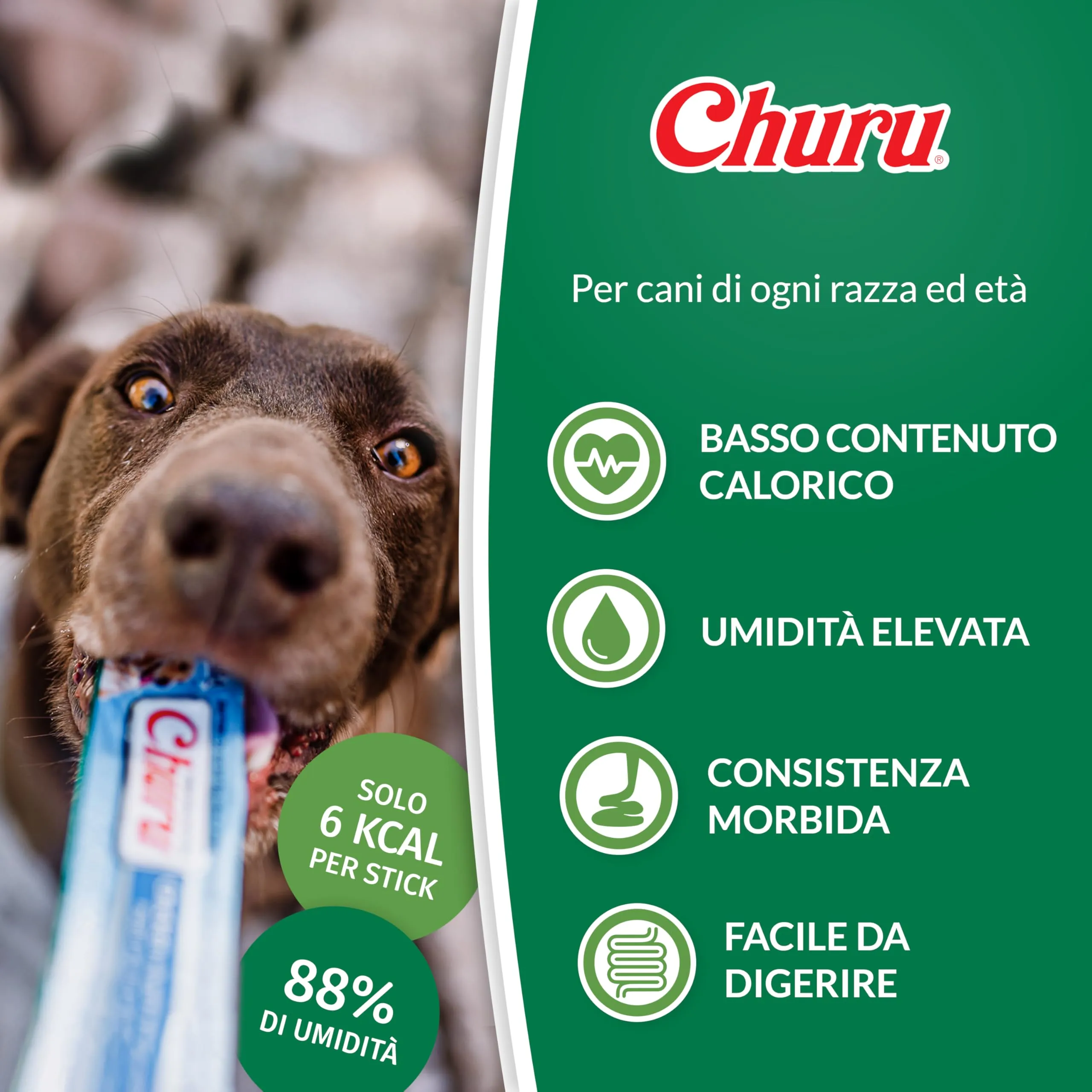 INABA Churu Snack per Cani Cremoso al Pollo e Salmone - 1 Pack (4 Stick x 16gr) - Premietti Cane Ipocalorici, Morbidi e Deliziosi - Cibo per Cani Senza Conservanti o Coloranti Artificiali, Grain-Free - immagine 3