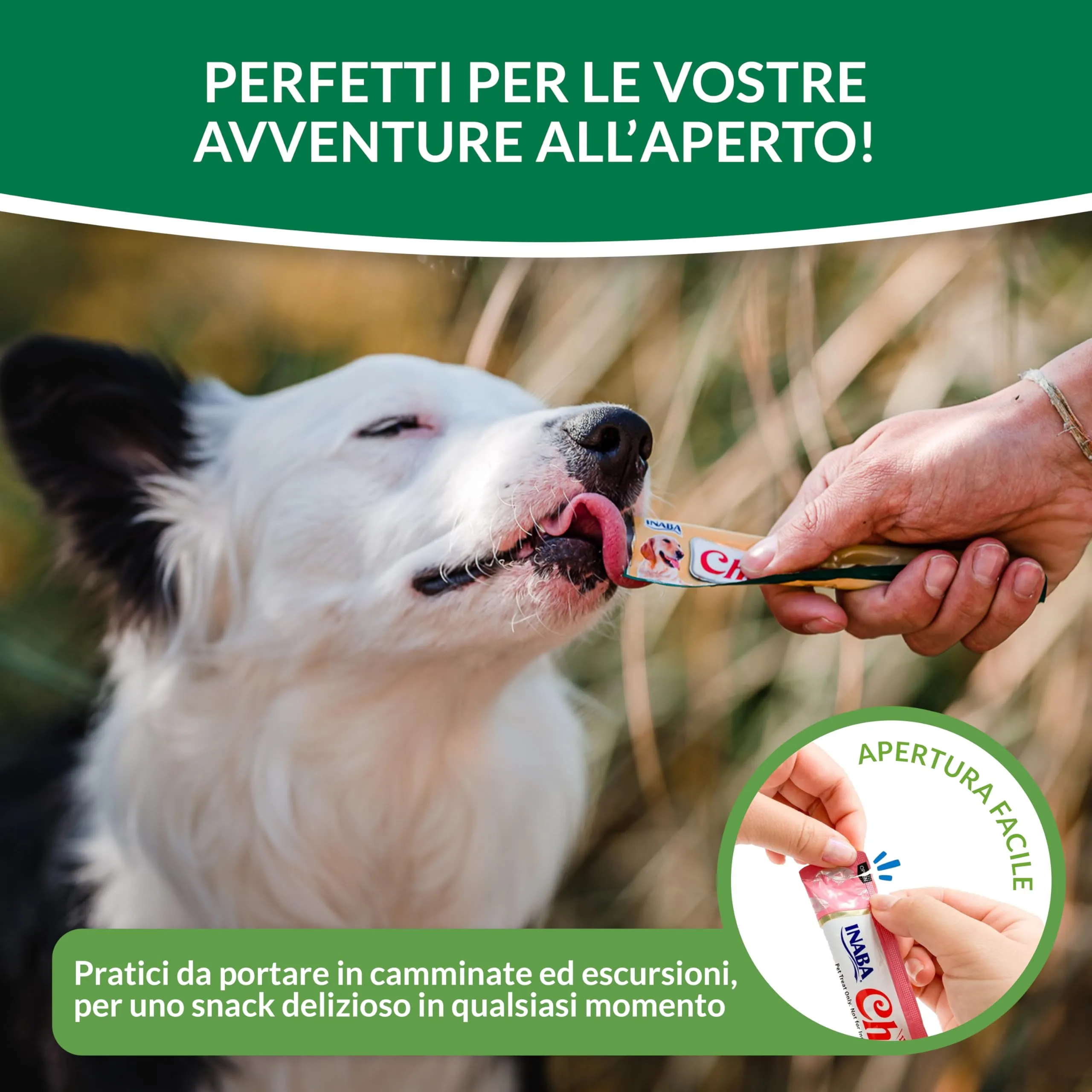 INABA Churu Snack per Cani Cremoso al Pollo e Salmone - 1 Pack (4 Stick x 16gr) - Premietti Cane Ipocalorici, Morbidi e Deliziosi - Cibo per Cani Senza Conservanti o Coloranti Artificiali, Grain-Free - immagine 5