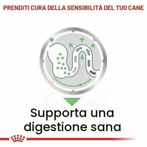 Royal Canin Digestive Care | Confezione Doppia | 2 x 12 x 85 g | Cibo umido per cani adulti | A partire da 10 mesi di età | Adatto a cani con digestione sensibile - immagine 8