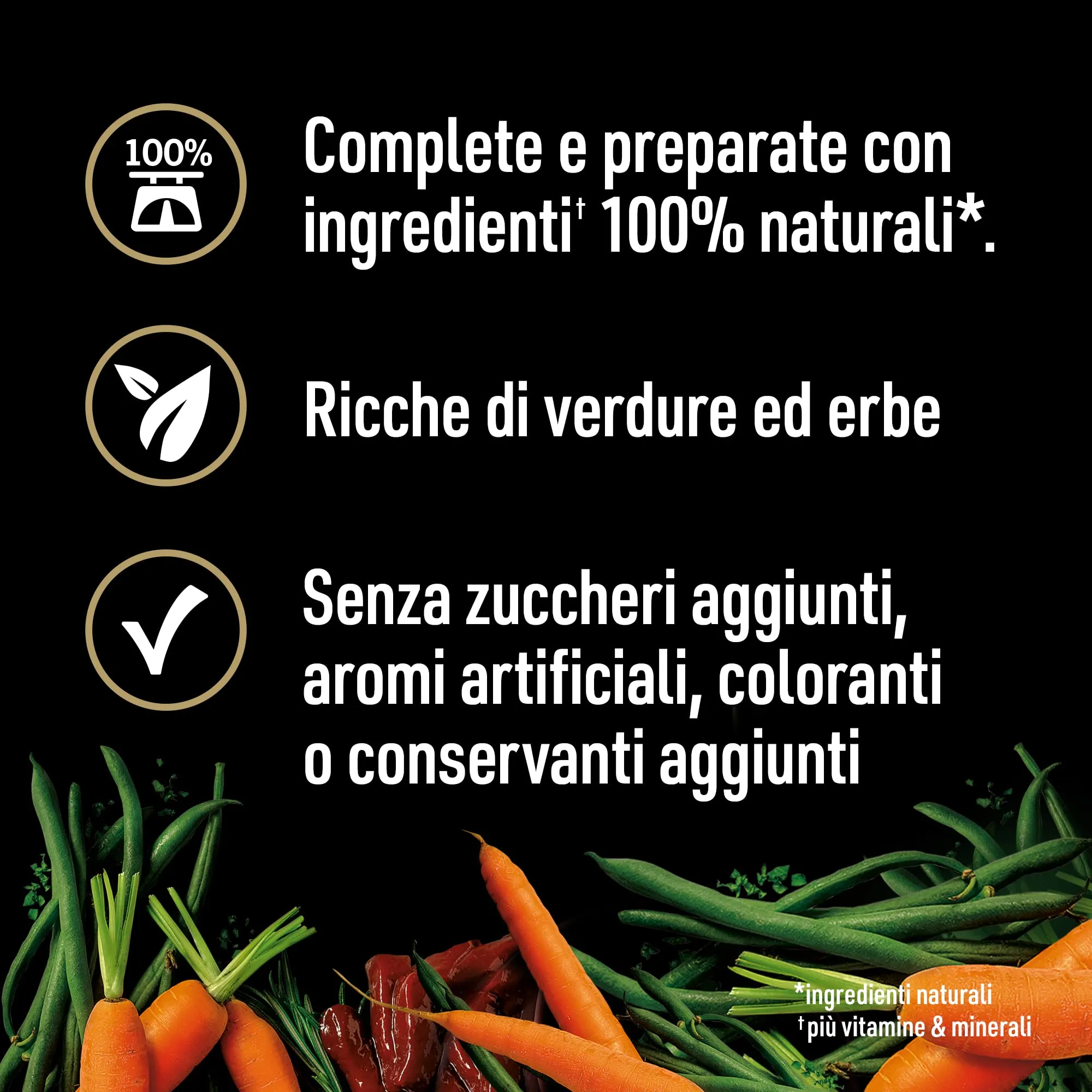 Cesar Natural Goodness Cibo Umido per Cani al Gusto di Pollo, Manzo e Agnello, 12 Lattine da 400 g, Totale 4.8 kg - immagine 2