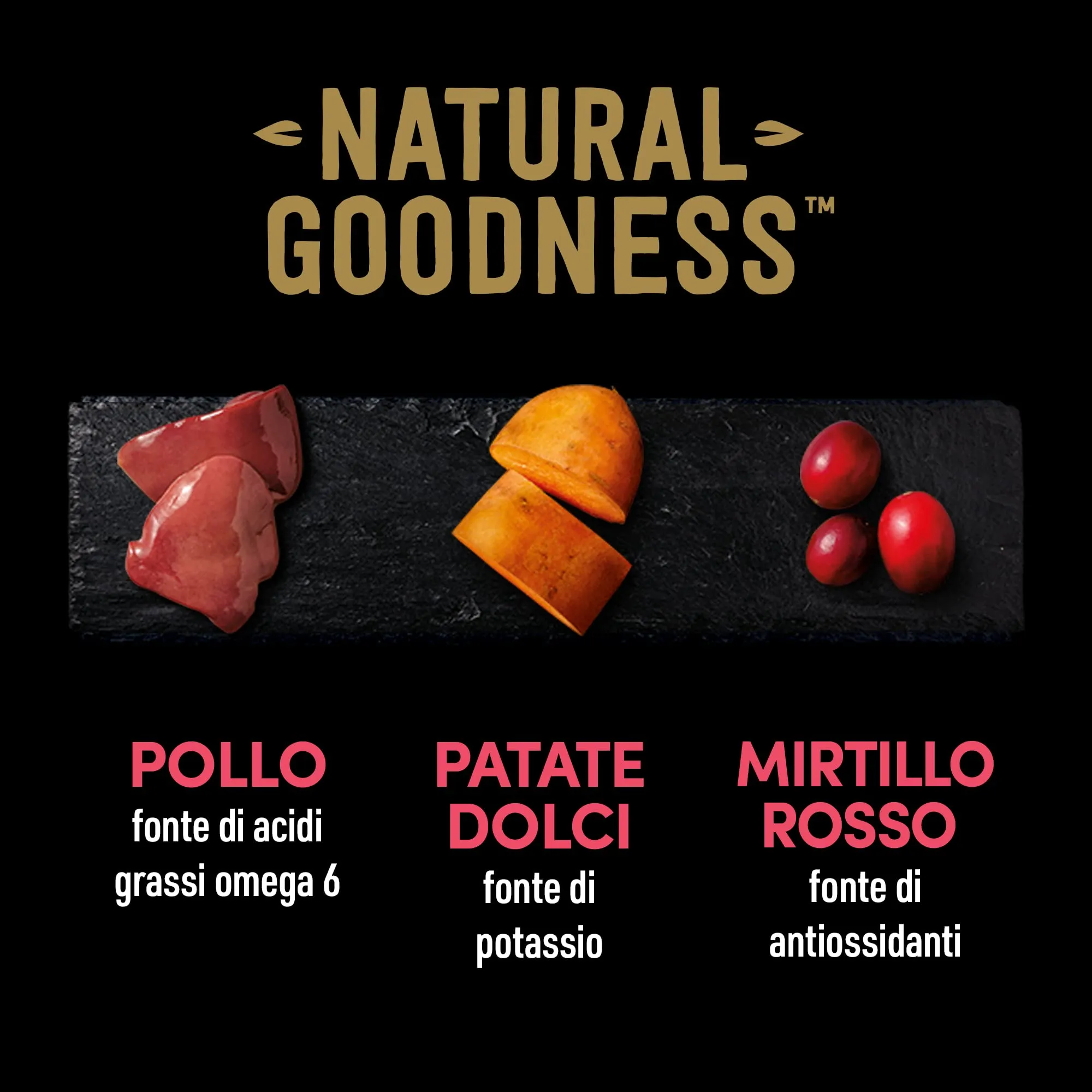 Cesar Natural Goodness Cibo Umido per Cani al Gusto di Pollo, Manzo e Agnello, 12 Lattine da 400 g, Totale 4.8 kg - immagine 4