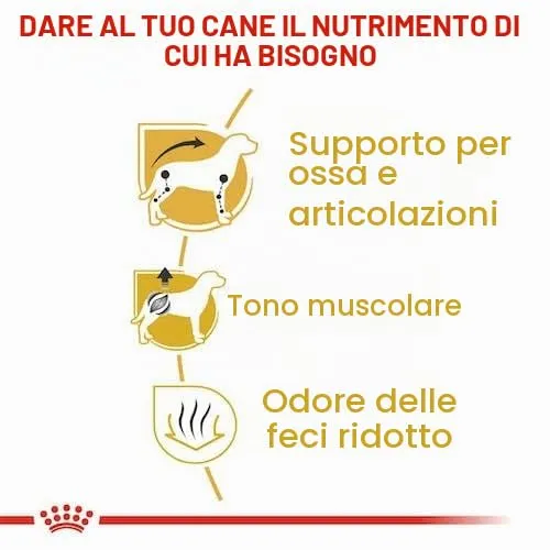Chihuahua Adult | Crocchette per cani | 2 x 500 g | Specifico di razza - immagine 7