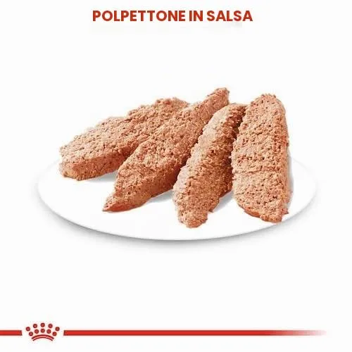 ROYAL CANIN Digestive Care Mousse per cani 4 x 12 x 85 g - immagine 4