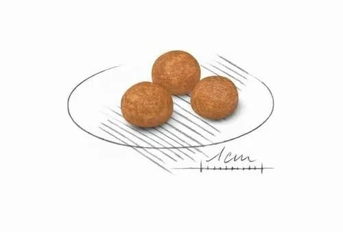 X-Small Adult | Crocchette per cani adulti molto piccoli | 2 x 500 g - immagine 4