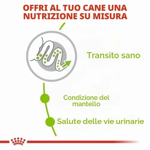 X-Small Adult | Crocchette per cani adulti molto piccoli | 2 x 500 g - immagine 6