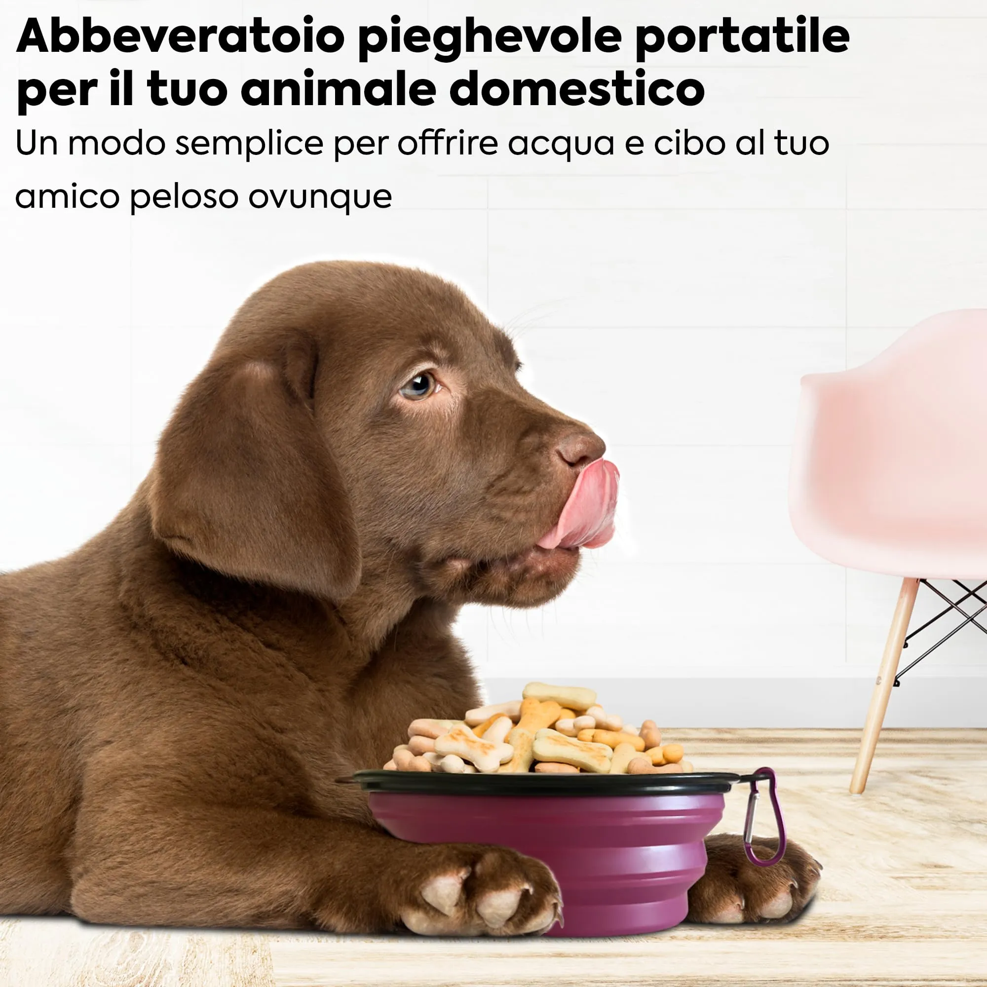 IBERROAD| 2 Ciotole Pieghevoli per Cani di medi e grandi | Ciotola Pieghevole per Cane | ciotole per cani da viaggio | Ciotola Cane Portatile capacita 900 ml | ciotole per cani portatile - immagine 6