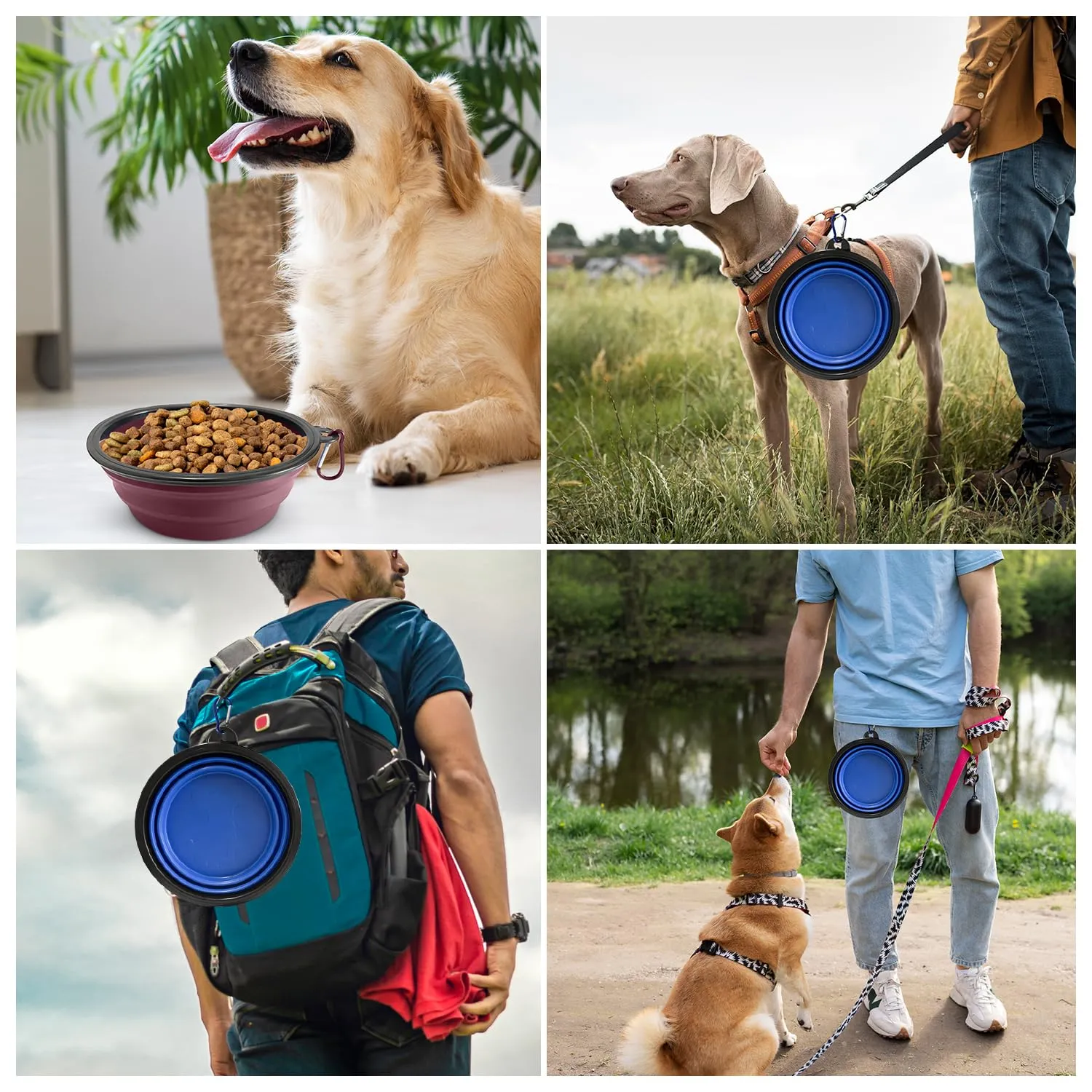IBERROAD| 2 Ciotole Pieghevoli per Cani di medi e grandi | Ciotola Pieghevole per Cane | ciotole per cani da viaggio | Ciotola Cane Portatile capacita 900 ml | ciotole per cani portatile - immagine 7