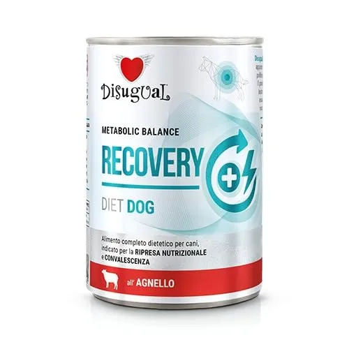 Disugual Dieta Cibo umido per cani 6 x 400 gr (Agnello Recupero) - immagine 1