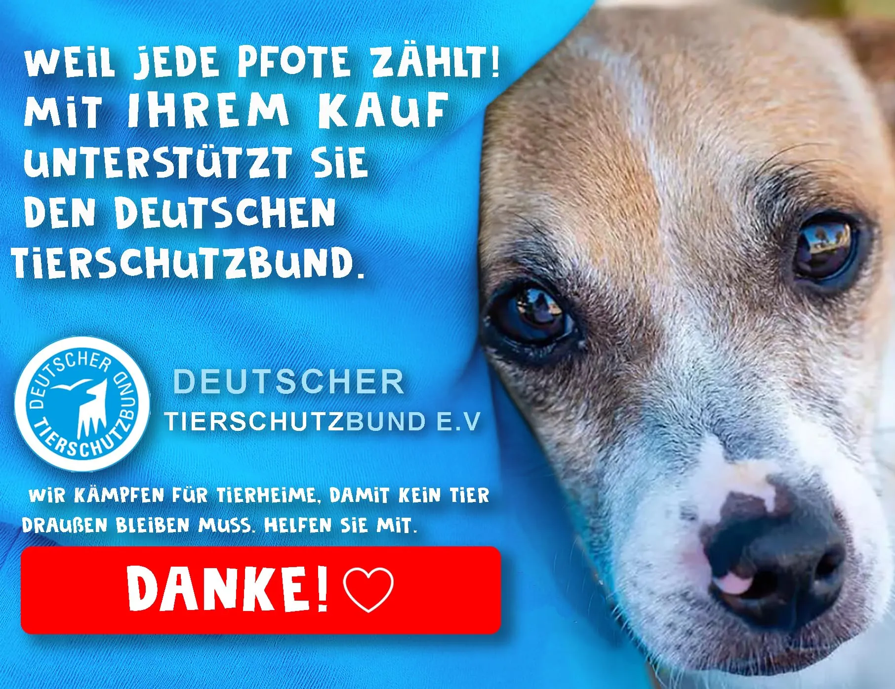 Paws Elegance Prova di Perdite Borraccia Cane Portatile da 800 ml per il Viaggio | Incluso Contenitore per il Cibo e Spazzolino da Denti | Premium Beverino per Cani - immagine 8