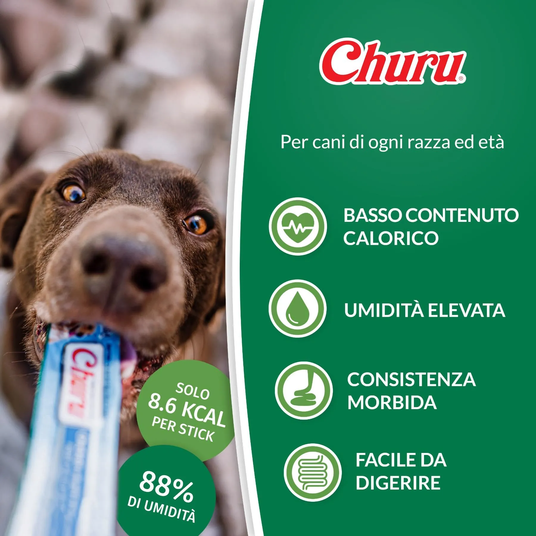 INABA Churu Snack per Cani Cremoso al Pollo - 20 Stick 14gr - Premietti per Cane Ipocalorici, Morbidi e Deliziosi - Cibo per Cani Senza Conservanti o Coloranti Artificiali, Grain-Free - immagine 3