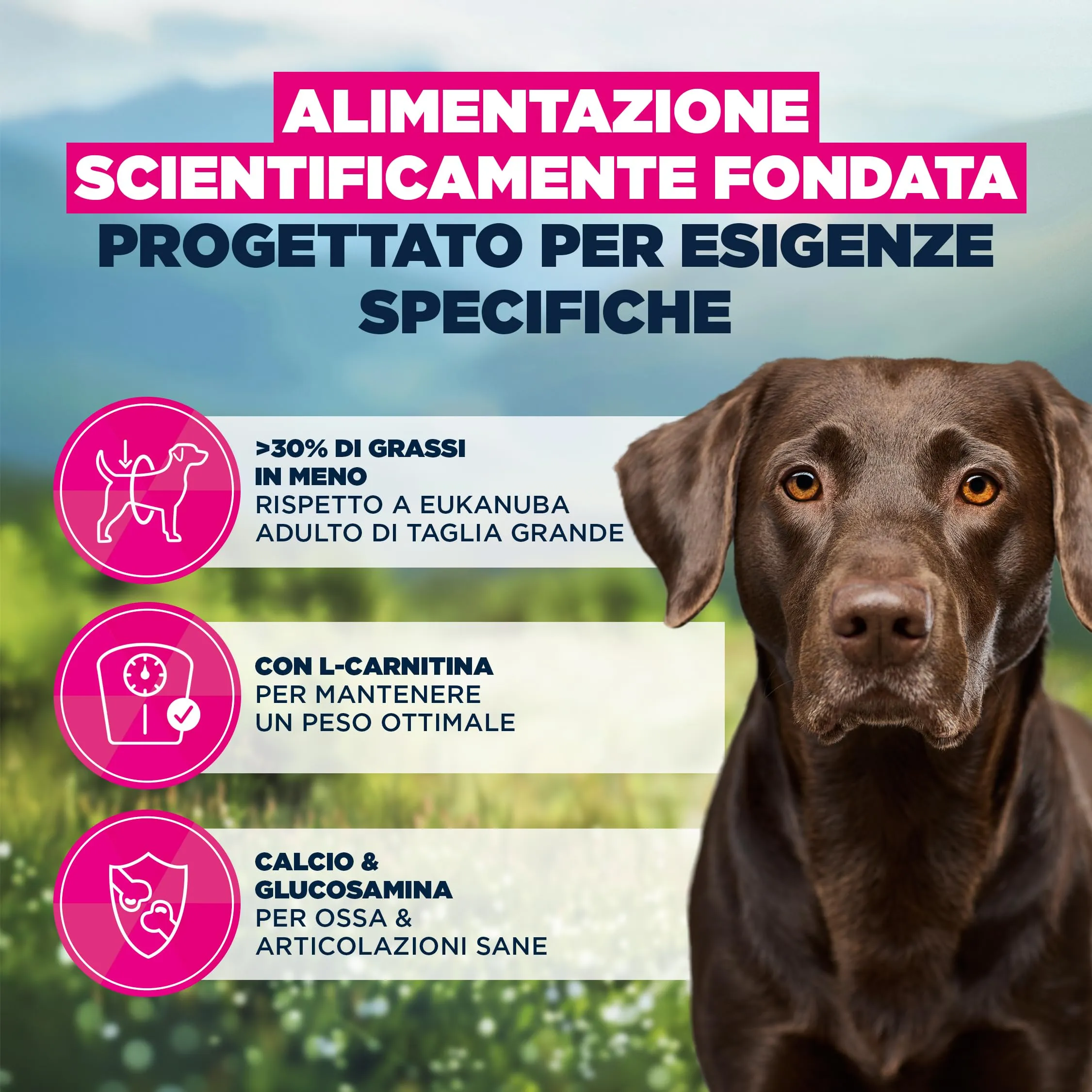 EUKANUBA Weight Control Crocchette taglia grande con pollo, 15 kg - immagine 5