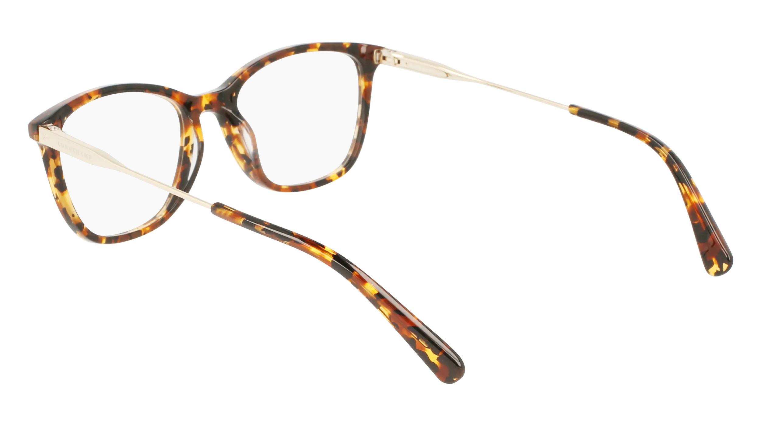 LONGCHAMP LO2683 242 Montature da vista Acetato Havana Squadrata Normale Fotocromatiche - immagine 3