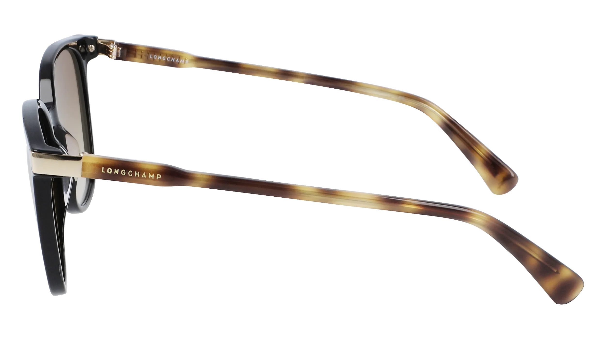 LONGCHAMP LO612S 219 Occhiali da sole Acetato Havana Squadrata Normale Fotocromatiche - immagine 3