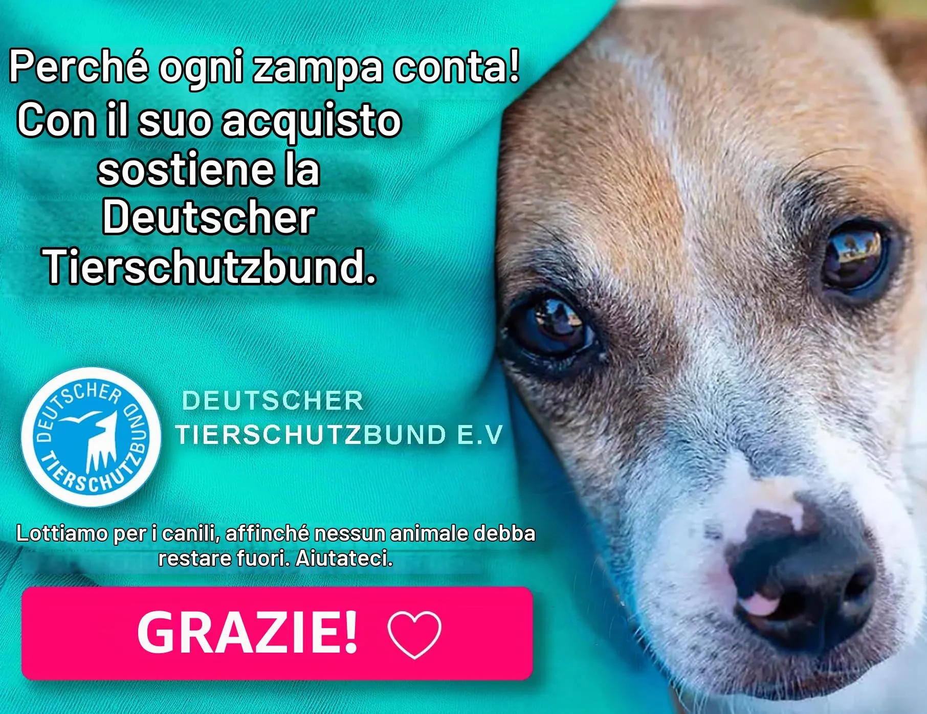 Paws Elegance Lavabile in Lavastoviglie e a Prova di Perdite Borraccia Cane Portatile da 550 ml per il Viaggio | Incluso Contenitore per il Cibo e Spazzolino da Denti | Premium Beverino per Cani - immagine 8
