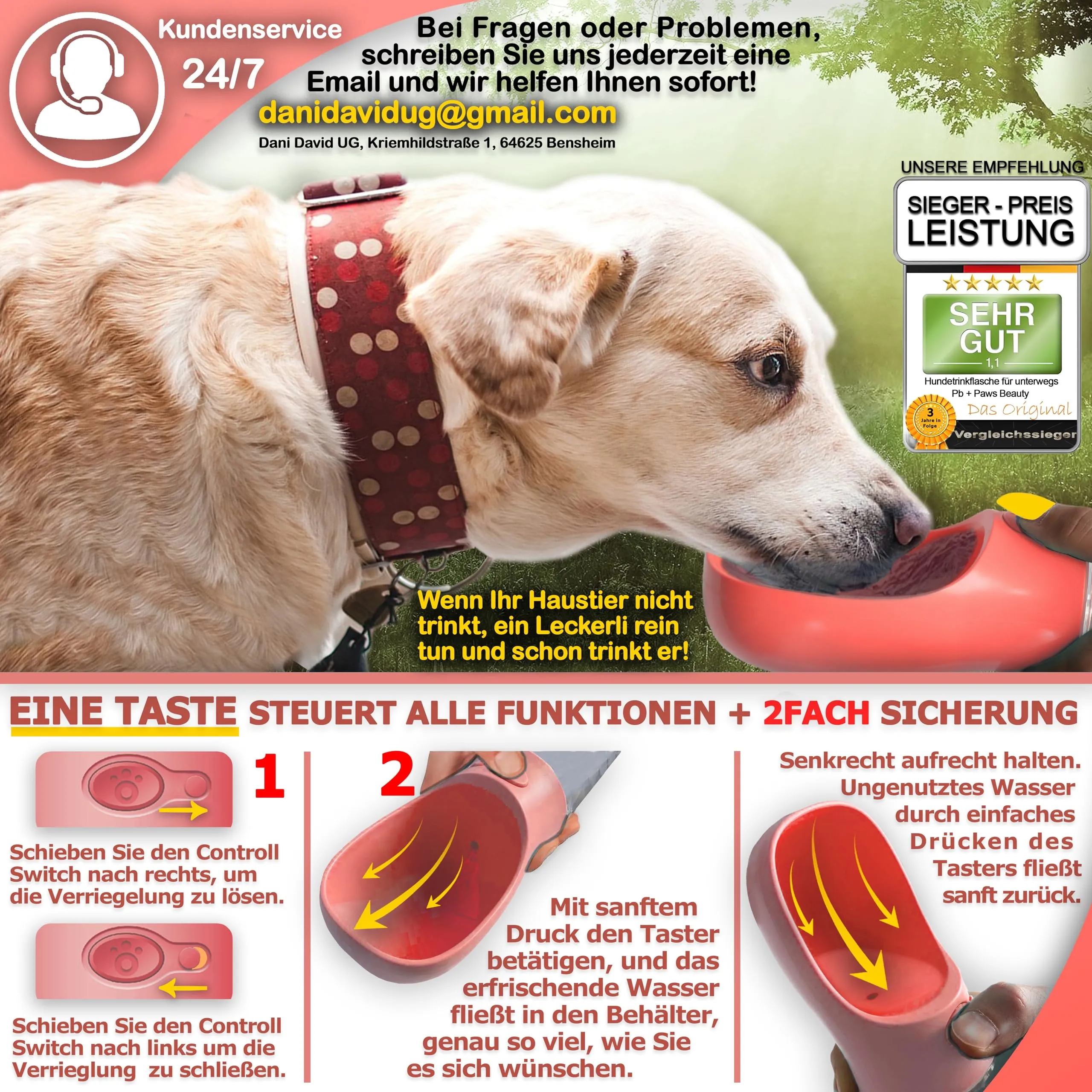 Paws Elegance Lavabile in Lavastoviglie e a Prova di Perdite Borraccia Cane Portatile da 550 ml per il Viaggio | Incluso Contenitore per il Cibo e Spazzolino da Denti | Premium Beverino per Cani - immagine 4