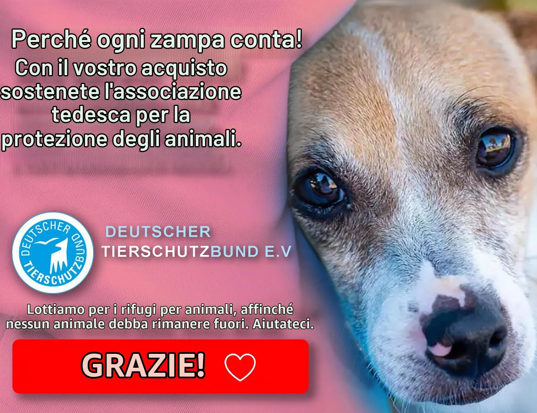 Paws Elegance Lavabile in Lavastoviglie e a Prova di Perdite Borraccia Cane Portatile da 550 ml per il Viaggio | Incluso Contenitore per il Cibo e Spazzolino da Denti | Premium Beverino per Cani - immagine 8