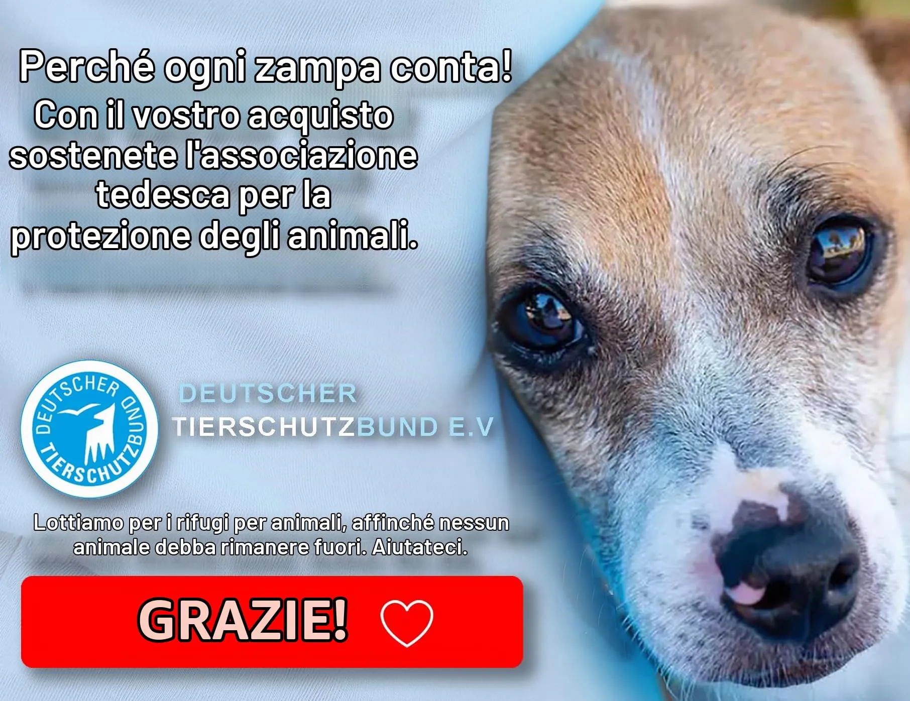 Paws Elegance Lavabile in Lavastoviglie e a Prova di Perdite Borraccia Cane Portatile da 550 ml per il Viaggio | Incluso Contenitore per il Cibo e Spazzolino da Denti | Premium Beverino per Cani - immagine 8