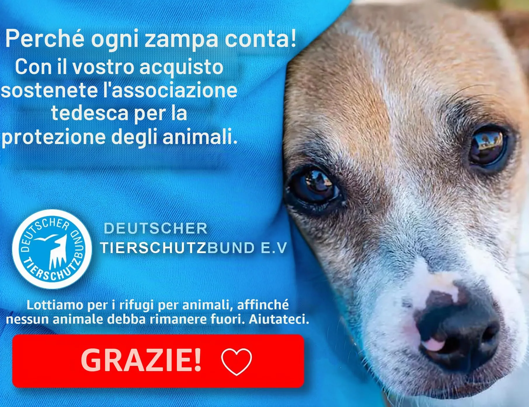 Paws Elegance Lavabile in Lavastoviglie e a Prova di Perdite Borraccia Cane Portatile da 550 ml per il Viaggio | Incluso Contenitore per il Cibo e Spazzolino da Denti | Premium Beverino per Cani - immagine 8