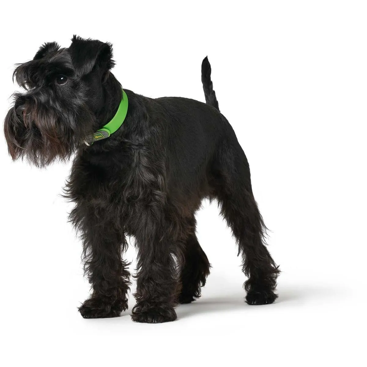 HUNTER CONVENIENCE - Collare per cani, in plastica, 65 L-XL, colore: Verde mela - immagine 3