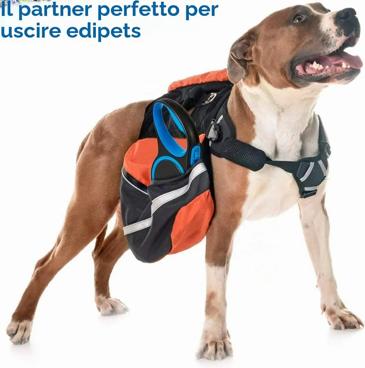 Edipets, Guinzaglio per Cani Allungabile, Retrattile, 5 e 8 Metri, Guinzaglio Flessibile per Addestramento e Passeggiate (Blu, 8 metri) - immagine 5