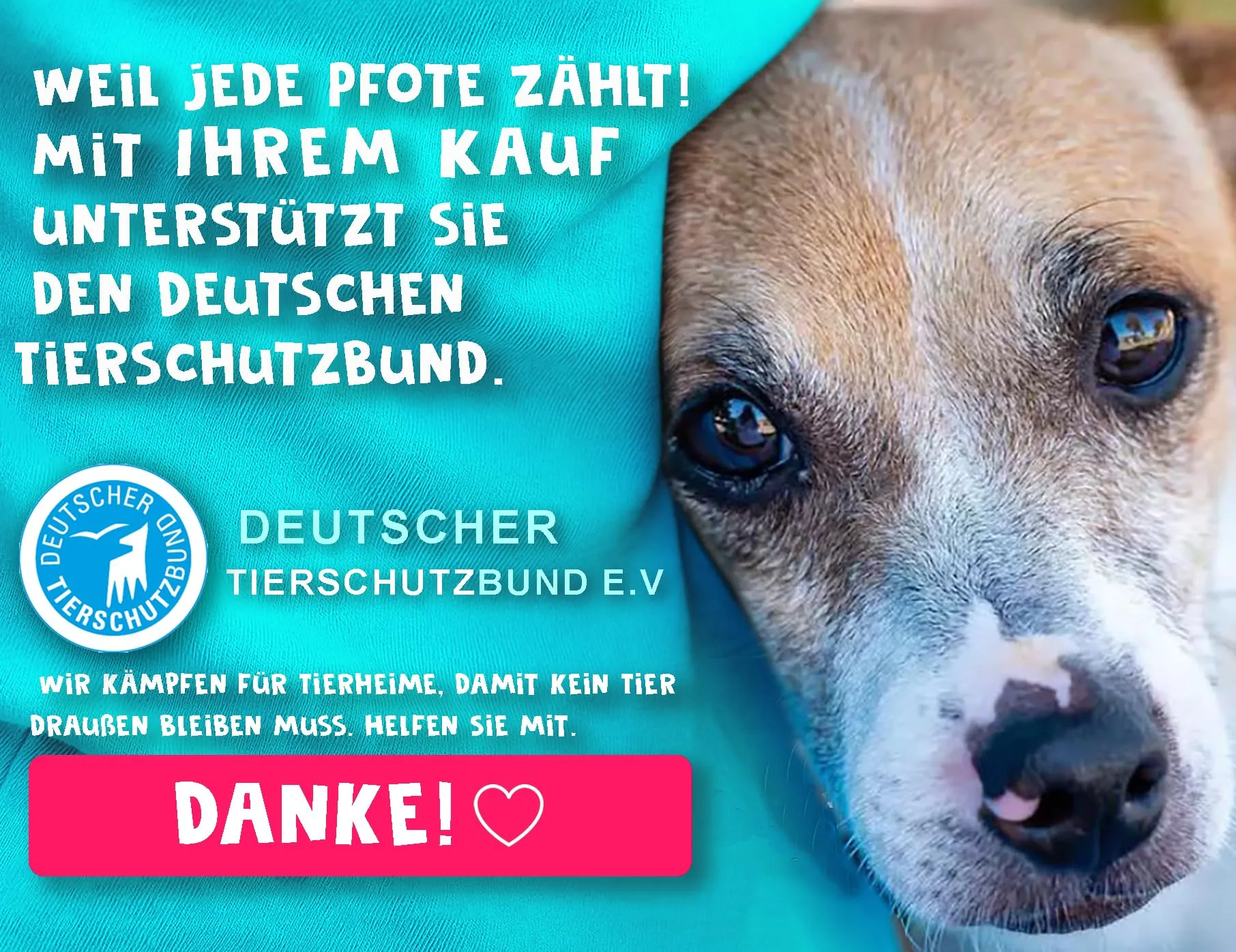 Paws Elegance Prova di Perdite Borraccia Cane Portatile da 800ml per il Viaggio | Incluso Contenitore per il Cibo e Spazzolino da Denti | Premium Beverino per Cani - immagine 8