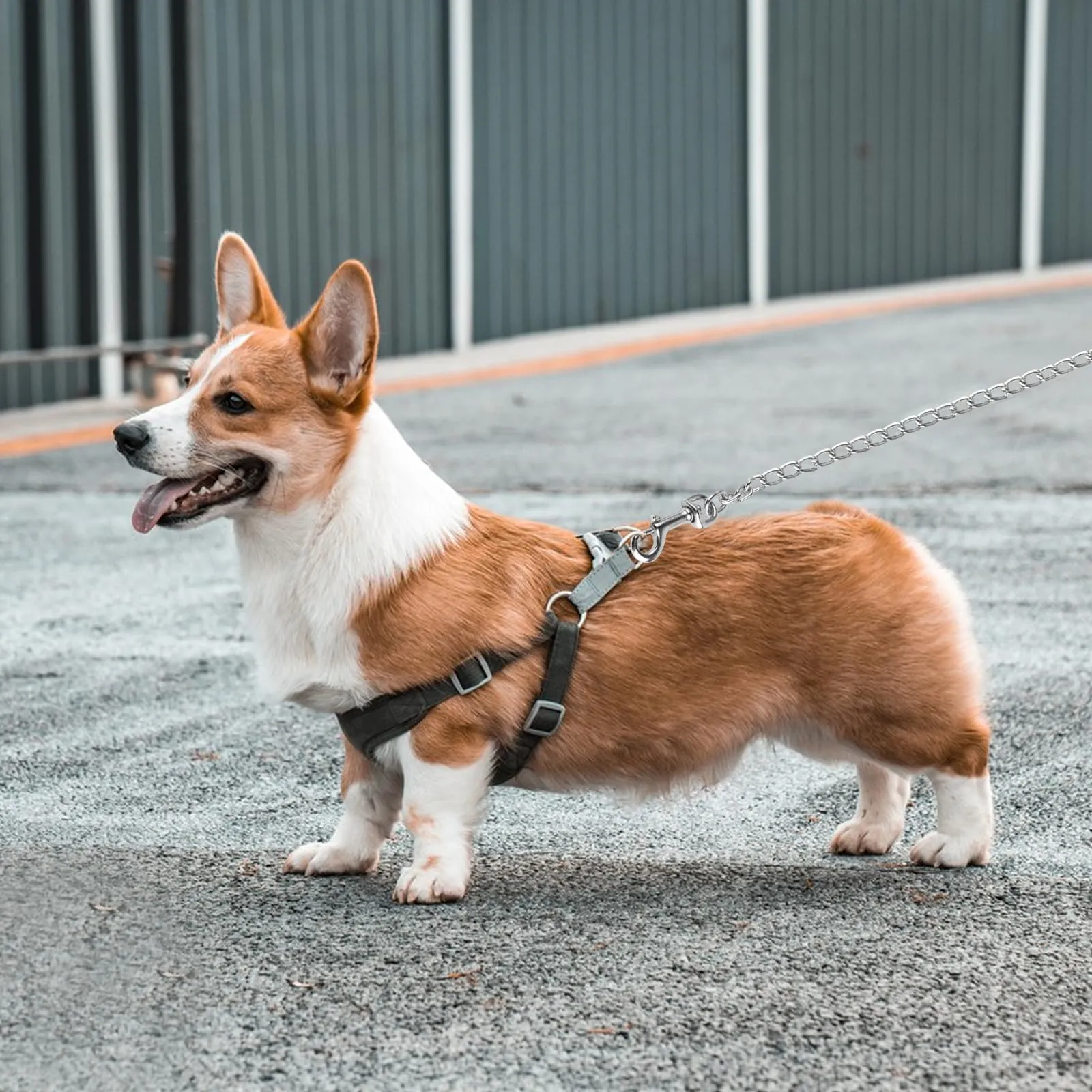 Guinzaglio a Catena per Cani, Guinzaglio Anti Morso in Acciaio - immagine 7