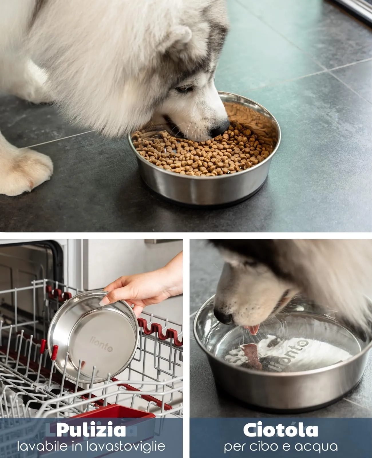 lionto Ciotola Acciaio per Cani e Gatti, Antiscivolo, 2700 ml - immagine 3