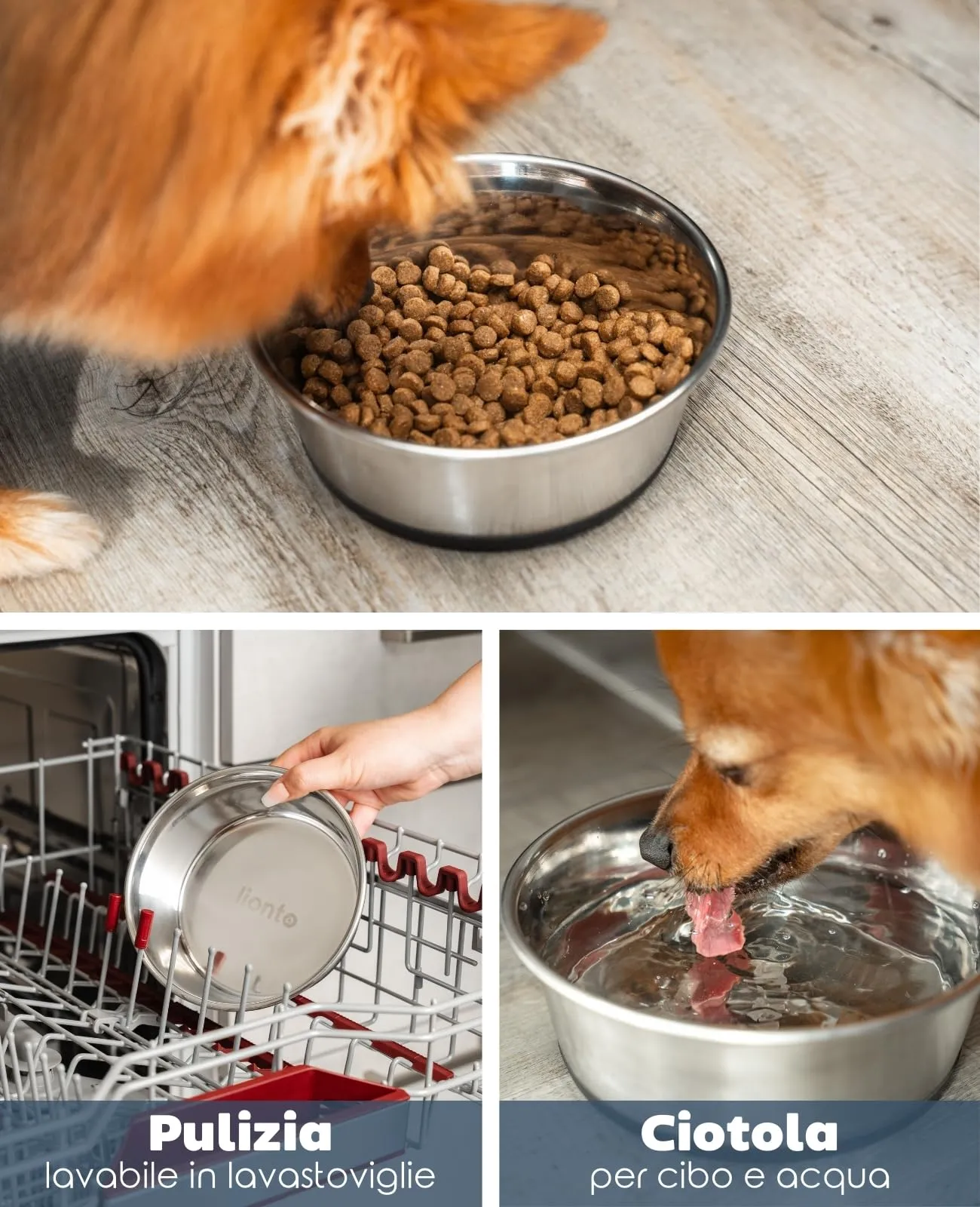 lionto Ciotola Acciaio per Cani e Gatti, Antiscivolo, 950 ml - immagine 3
