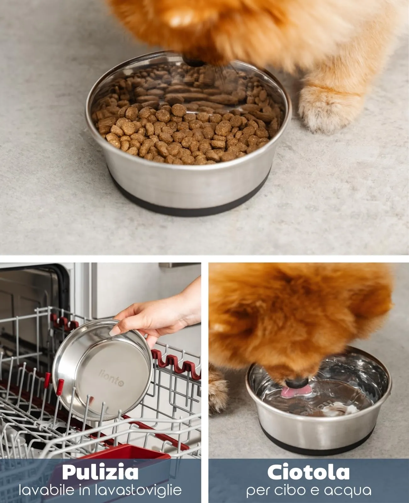 lionto Ciotola Acciaio per Cani e Gatti, Antiscivolo, 600 ml - immagine 3