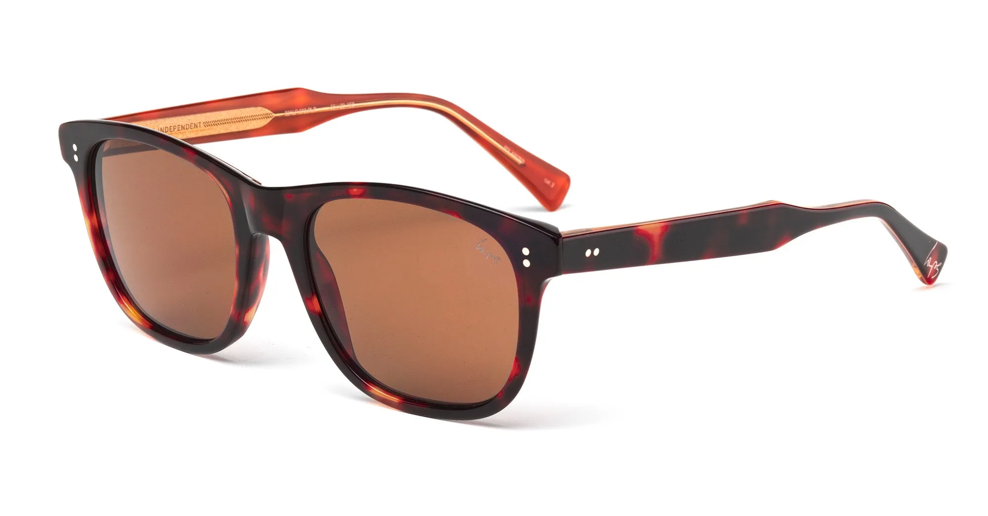 Laps Collection Uomo CARLO 021LP 092.PLR Occhiali da sole outlet Acetato Havana Marrone Squadrata Antiriflesso - immagine 1