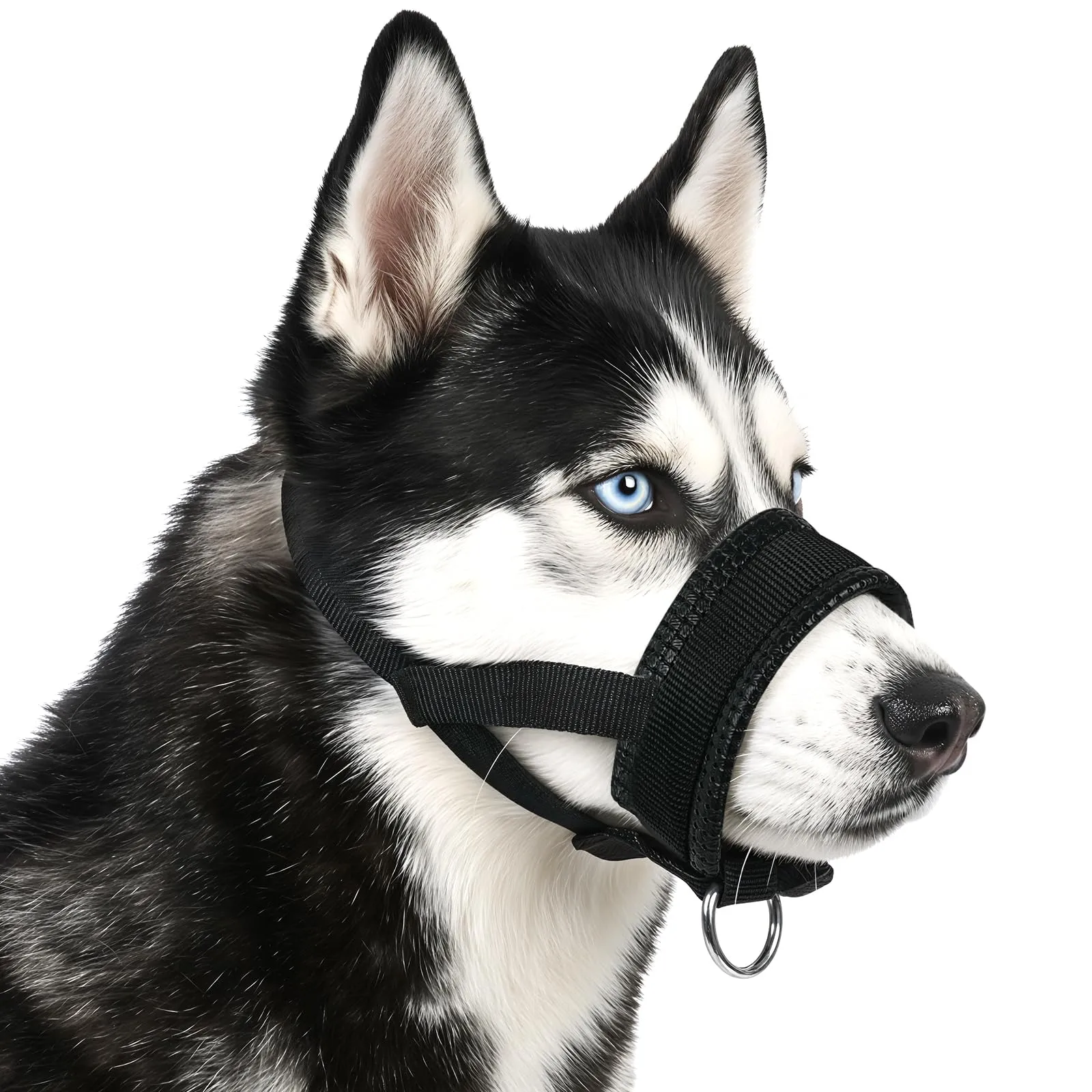 AUAUY Museruola per Cane, Materiale in Nylon, con Anello Regolabile, L-Nero - immagine 1