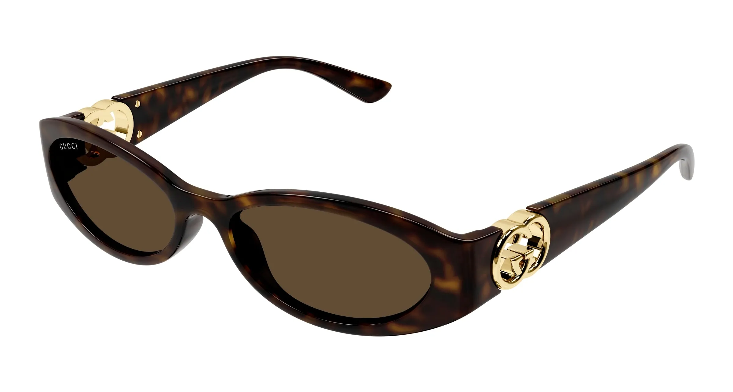 Gucci GG1660S 002 Occhiali da sole Iniettato Havana Marrone Rotonda - immagine 1