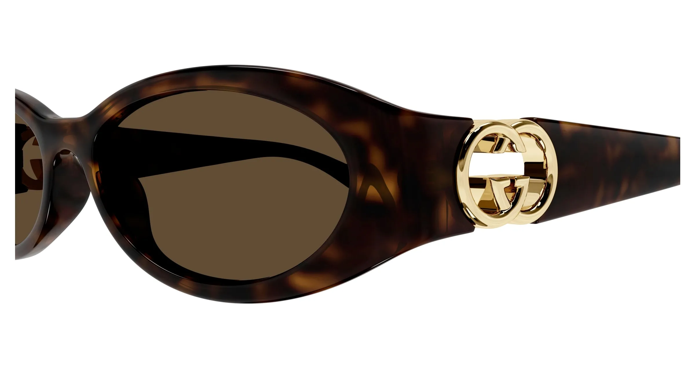 Gucci GG1660S 002 Occhiali da sole Iniettato Havana Marrone Rotonda - immagine 3