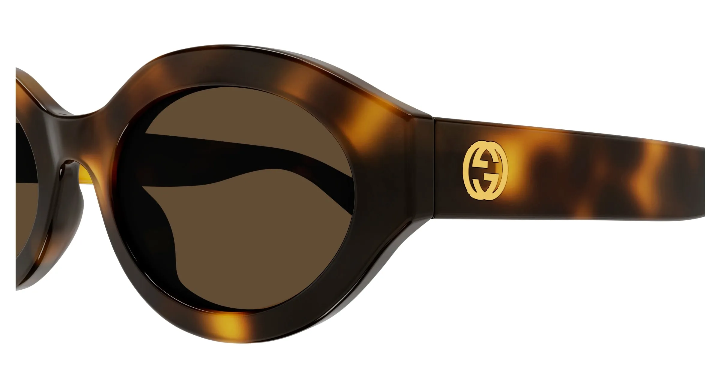 Gucci GG1579S 002 Occhiali da sole Iniettato Havana Marrone Geometrica - immagine 3