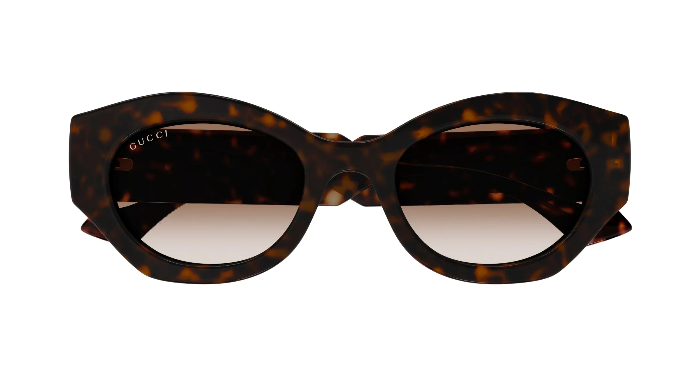 Gucci GG1553S 002 Occhiali da sole Iniettato Havana Marrone Rotonda - immagine 2