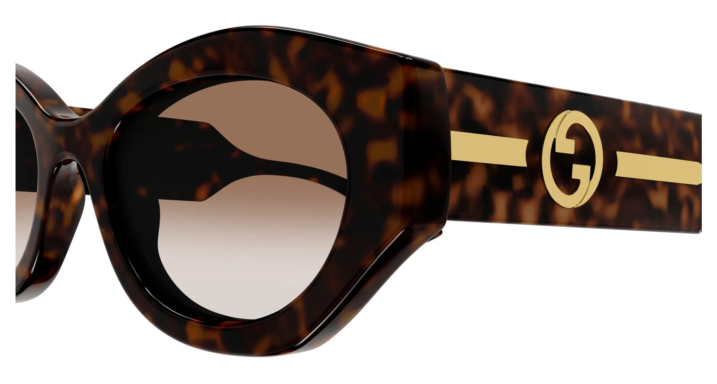 Gucci GG1553S 002 Occhiali da sole Iniettato Havana Marrone Rotonda - immagine 3