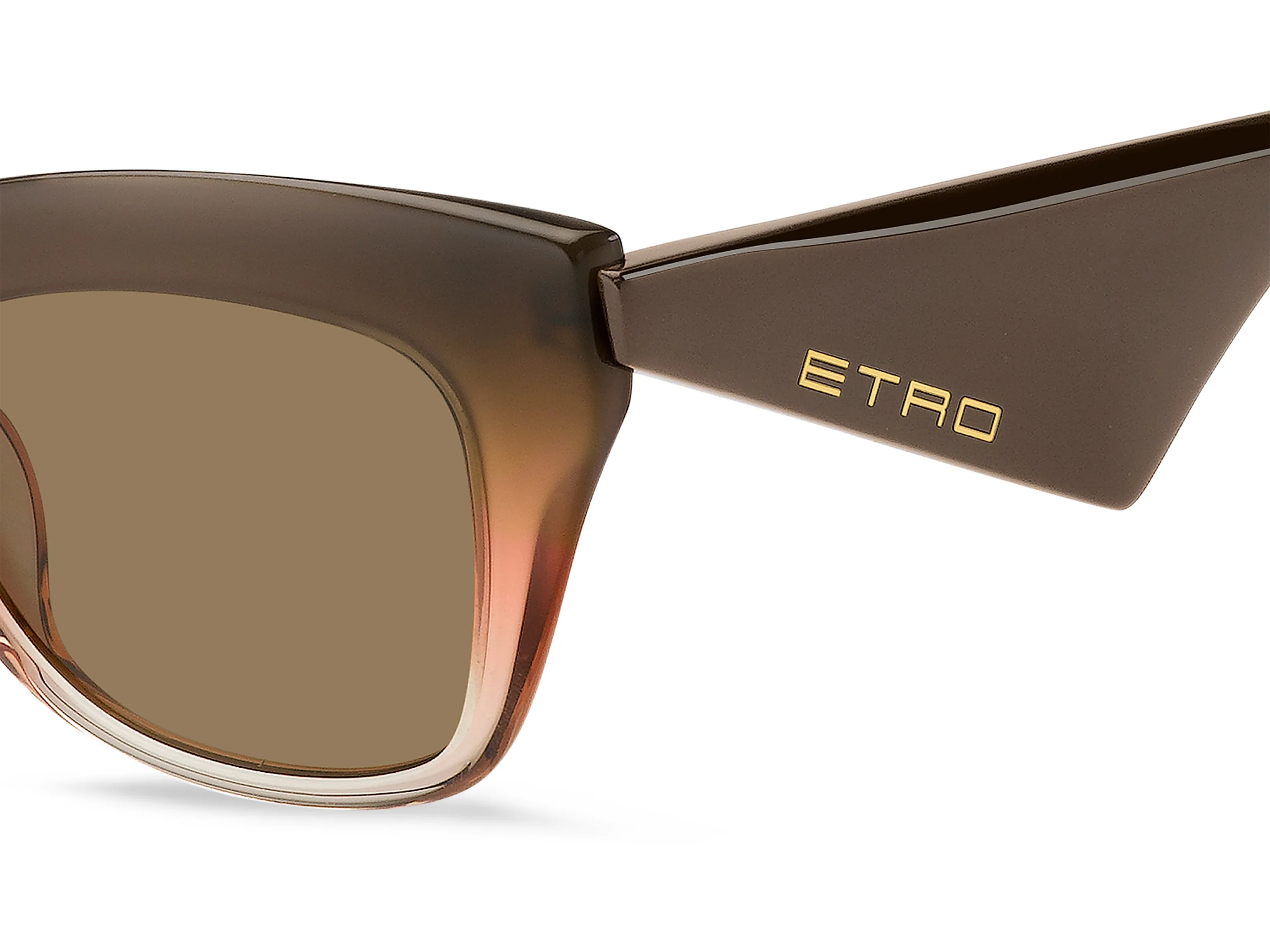 ETRO ETRO 0004/G/S 12J/70 Occhiali da sole Acetato Marrone Verde Squadrata Normale - immagine 3