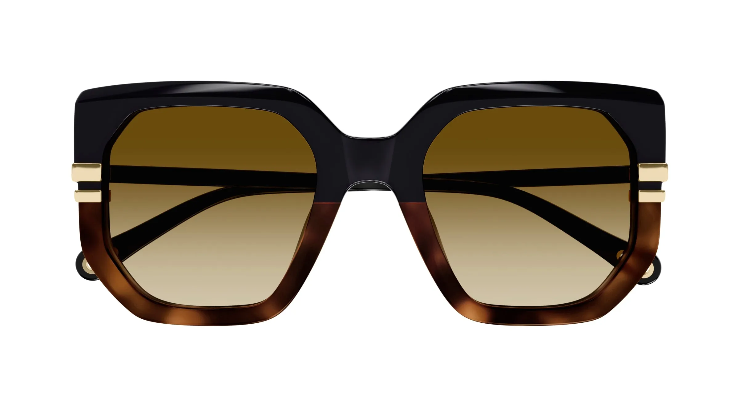 Chloé CH0240S 003 Occhiali da sole Acetato Nero Marrone Geometrica - immagine 2