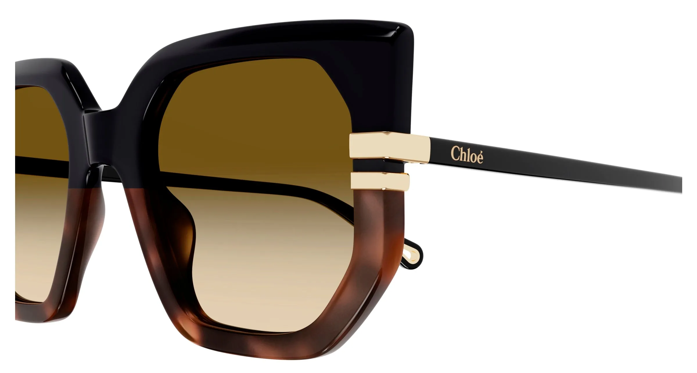Chloé CH0240S 003 Occhiali da sole Acetato Nero Marrone Geometrica - immagine 3
