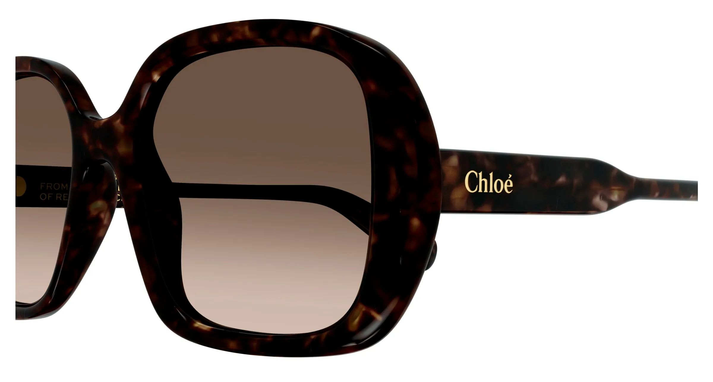 Chloé CH0222S 002 Occhiali da sole Acetato Havana Marrone Squadrata - immagine 3