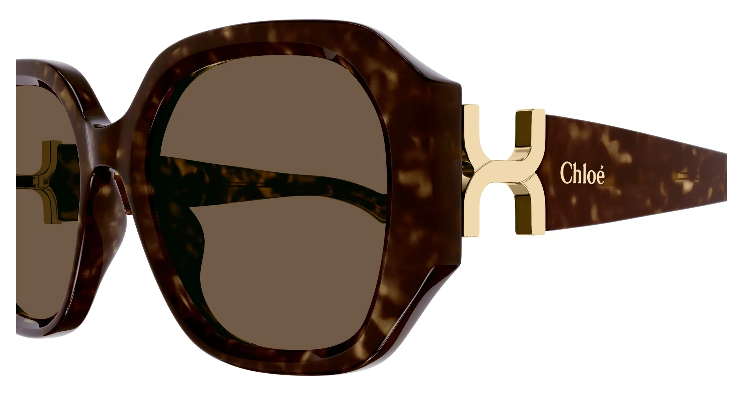 Chloé CH0236S 002 Occhiali da sole Acetato Havana Marrone Squadrata - immagine 3