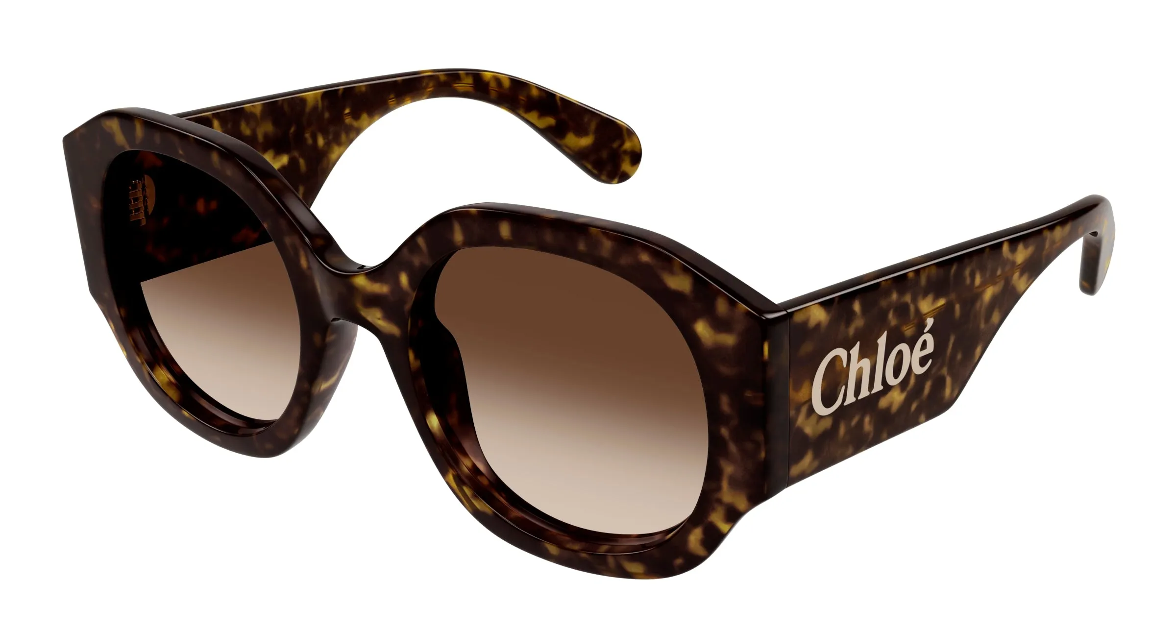 Chloé CH0234S 002 Occhiali da sole Acetato Havana Marrone Rotonda - immagine 1