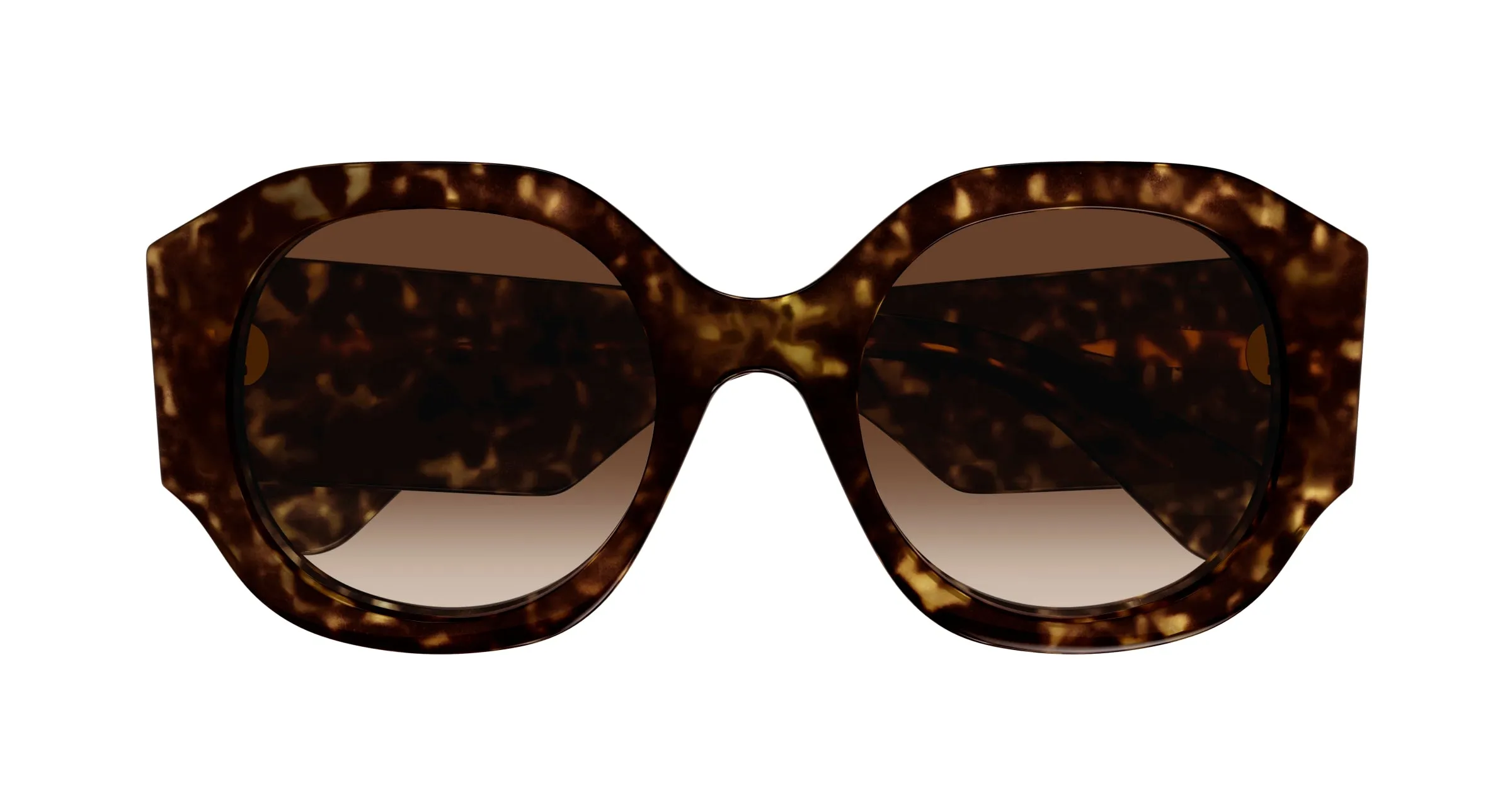 Chloé CH0234S 002 Occhiali da sole Acetato Havana Marrone Rotonda - immagine 2